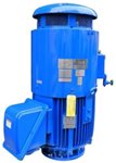TEFC IC411 Vertical IM V1